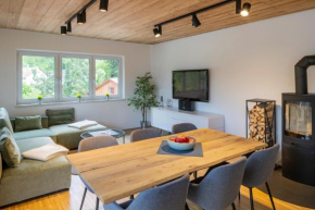 mivida Apartment Panoramahirsch Schladming